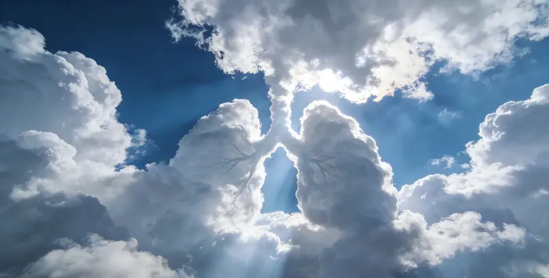 菏泽肺癌120基因ctDNA突变检测(血液）图片1